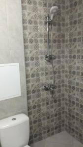 切佩拉雷Студио Еми的浴室配有淋浴和卫生间。