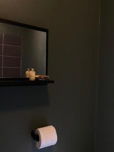 WylamShip Inn Stays Ltd的浴室提供卫生纸和镜子