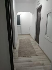 苏恰瓦Criss Apartament的走廊上设有门,地板上铺有地毯