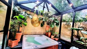波尔多La Belle Endormie B&B French Guest house的温室,带热水浴缸和一束植物