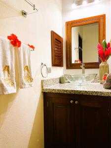 奎波斯城Sueños de Amor! Hermoso y Acogedor lugar的一间带水槽和镜子的浴室