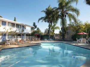 圣巴巴拉圣巴巴拉6号汽车旅馆 - 戈利塔的棕榈树酒店前的游泳池