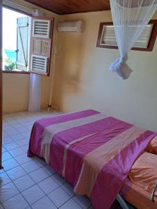莱昂斯-达赫雷MAISON de VACANCES ANSES D'ARLET的一间卧室配有一张带紫色毯子的床