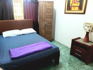 巴克里索莫雷诺港EMMA HOUSE的一间卧室配有一张带紫色枕头的床