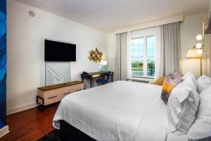 杰克逊维尔杰克逊迪尔伍德公园靛蓝酒店的配有一张床和一台平面电视的酒店客房