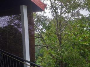 康提Villa 95 Rangala的阳台享有树木的景致。