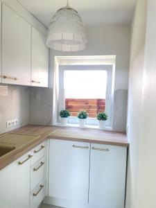 Fadd-DomboriRelax Nyaraló Dombori的厨房配有白色橱柜和种有盆栽植物的窗户