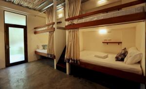 San IsidroLaFinca Hostel Siargao的客房设有两张双层床和一扇窗户。