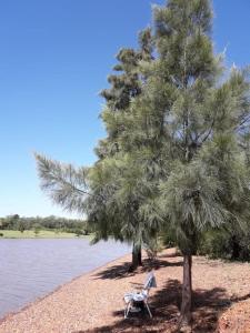 费德拉西翁Casa de Campo LA CANTERA的湖边树下的长凳