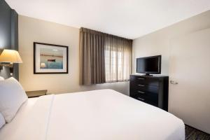 拉斯维加斯Sonesta Simply Suites Las Vegas Convention Center的配有一张床和一台平面电视的酒店客房