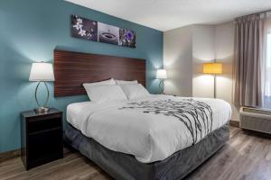 索尔兹伯里Sleep Inn - Salisbury I-85的一间卧室配有一张带蓝色墙壁的大床