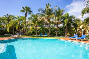 简蒂埃尔Tropicana Palm Penthouse Jan Thiel, Willemstad Curacao的一个带蓝色椅子的游泳池,棕榈树