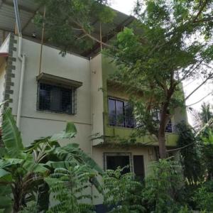 阿利鲍格Gulmohar Cottages - Home Stay in Alibag的前面有棵树的白色建筑