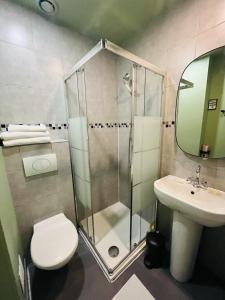 尼斯贝尔纳酒店的带淋浴、卫生间和盥洗盆的浴室