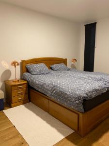 特罗姆瑟Royal Skir apartment sea view的一间卧室配有一张带两个蓝色枕头的床
