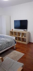 普雷代亚尔Apartament 2 cam Predeal的客厅配有台面上的平面电视