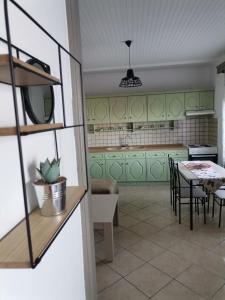 PotamiáIoanna's Apartment的厨房配有绿色橱柜和桌椅