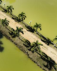 塔拉波托Hacienda Don Vicente Bungalows-Tarapoto的享有棕榈树空中的山丘美景