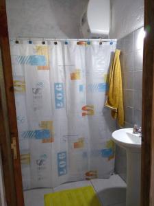 拉埃斯梅拉达Casa en La Esmeralda Uruguay的浴室配有淋浴帘和盥洗盆。