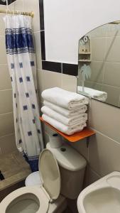 Archidona帕尔马尔德尔里奥高级酒店的一间带卫生间和淋浴帘的浴室