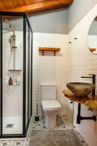 萨布盖鲁Casa do Tio Ferreiro的一间带卫生间和水槽的浴室