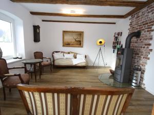 Zarchlincharming apartment with fireplace的带沙发和壁炉的客厅