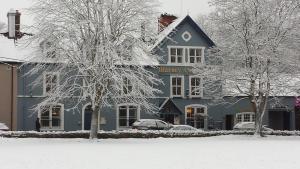 布拉尼布拉尼城堡酒店的一座蓝色的建筑,前面有雪覆盖的树木