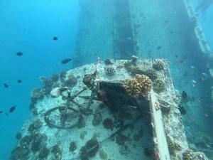 Felidhoo Island Holiday Lodge的躺在海洋礁上的自行车