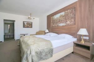 利托米什尔金星酒店的卧室配有一张白色大床和木制床头板