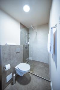 Sînnicolau de MunteTERMAL KRE-SPA的一间带卫生间和玻璃淋浴间的浴室
