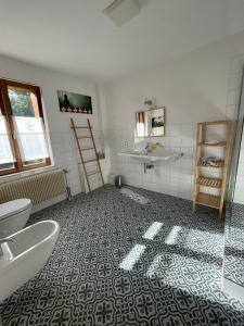 坦嫩基什Le Manoir des Sens - Forêt de Bergheim的一间带卫生间和水槽的浴室
