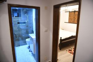 培拉特Villa Kokoshi, an extraordinary experience.的带淋浴、卫生间和盥洗盆的浴室