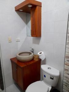 圣多明各Apartamento Esme的浴室配有白色卫生间和盥洗盆。