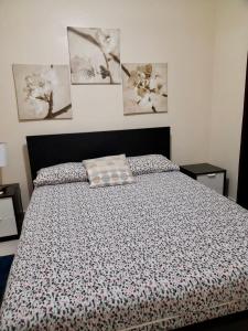 圣多明各Apartamento Esme的一间卧室配有一张床和被子