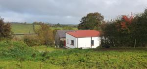 卡斯尔布莱尼The Haggard Self Catering Accommodation的一座白色的小房子,在田野上设有红色屋顶