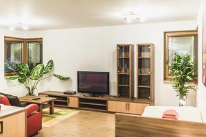 科希策穆扎川酒店的客厅配有平面电视和植物