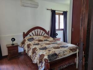 萨尔塔Hostal las Rosas的一间卧室配有一张带床罩的床和窗户