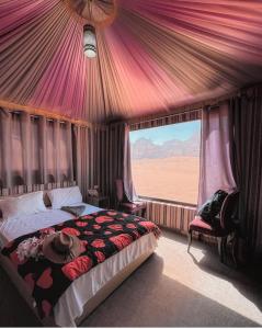 瓦迪拉姆Rehana rum camp的一间卧室配有一张床,享有沙漠美景
