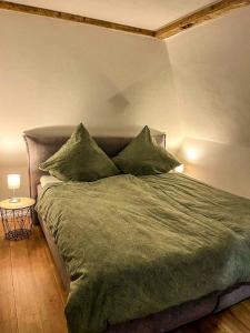库姆巴赫Super Lodge Kulmbach的卧室内的一张带绿色床单和枕头的床