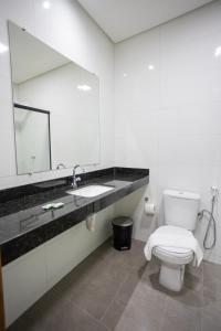 巴纳伊巴Euro Flat Hotel的一间带卫生间、水槽和镜子的浴室