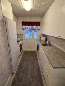 塞伊奈约基Home nest的一间小厨房,配有白色家电和窗户