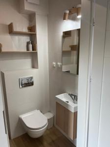 普什切夫Apartament nad jeziorem的一间带卫生间和水槽的小浴室