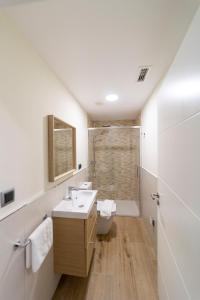 圣地亚哥－德孔波斯特拉Apartamentos San Lazaro的一间带水槽和淋浴的浴室