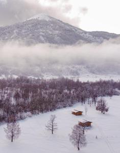 普卢日内Vikendice Gornja Brezna - Mountain cabin Gornja Brezna的山前雪中小屋
