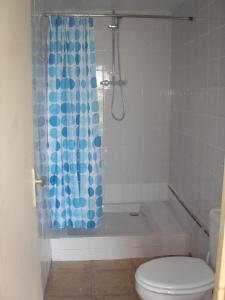 雷德斯Camping at Le Clos Castel的浴室配有蓝色的浴帘和卫生间