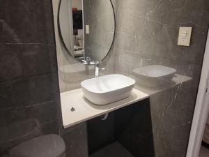 布宜诺斯艾利斯Recoleta Classic的一间带水槽和镜子的浴室
