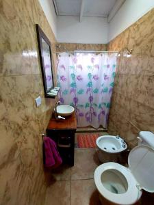 圣罗莎Cabaña Sarita的浴室配有卫生间、盥洗盆和淋浴。