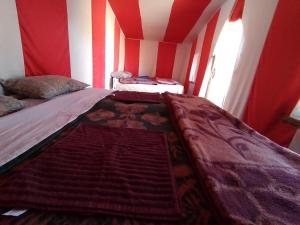 姆哈米德Visitors camp的红色和白色墙壁间的一张床