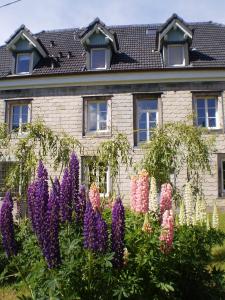Fresse-sur-MoselleCHAMBRES D'HOTES的乐CLOS DES Lesses的的一座建筑前的鲜花花园