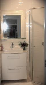 拜伦湾Byron Marvell的浴室配有盥洗盆和带镜子的淋浴
